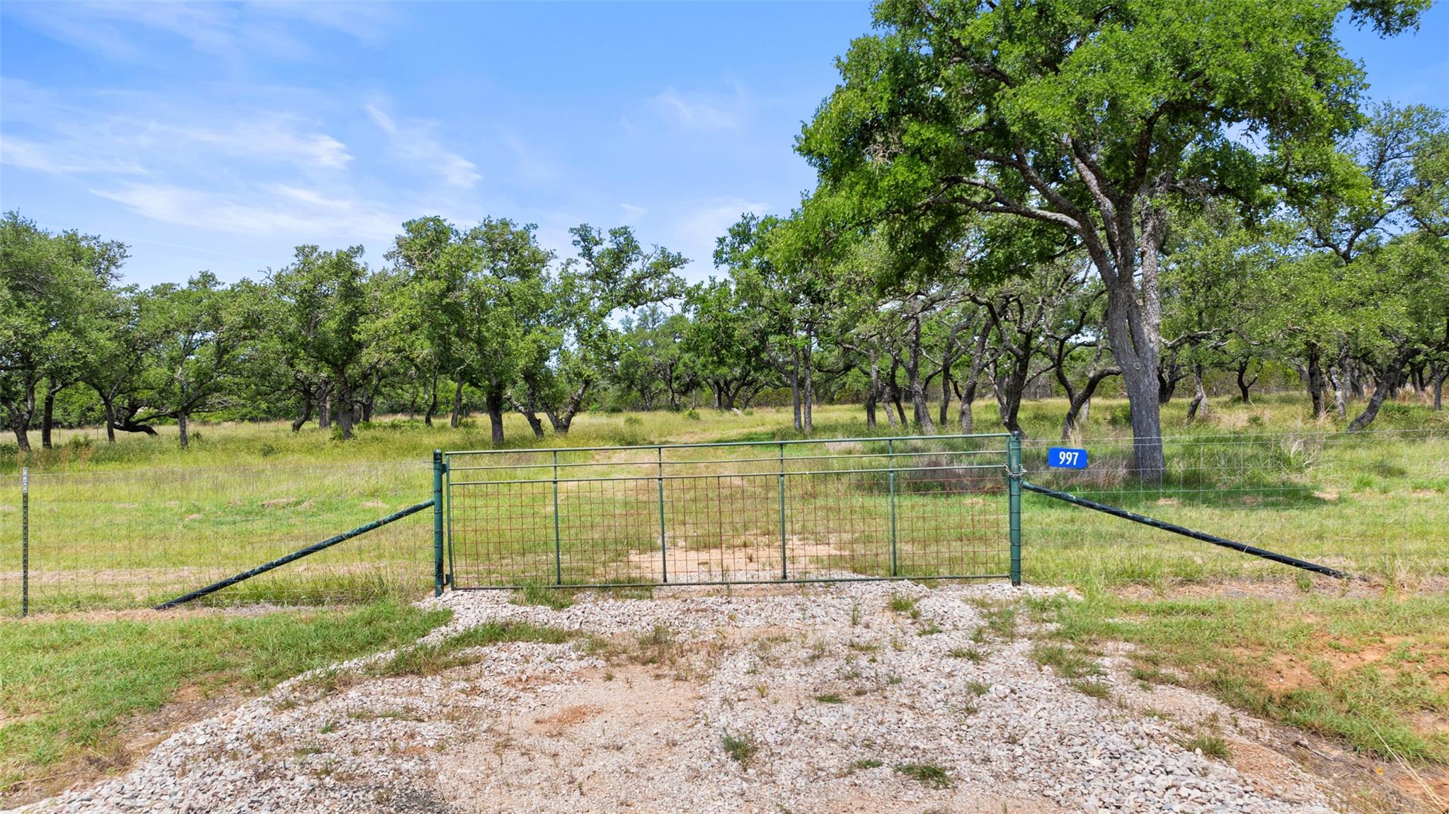 997 Sandy Oaks Ranch Rd