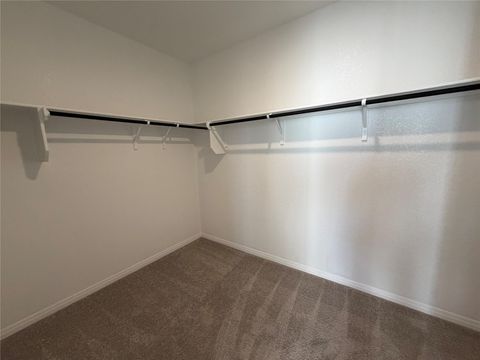 Tiny photo for 9700 Serene Bliss LN, Buda, TX 78610 (MLS # 2995941)