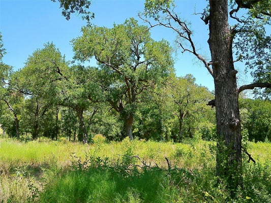216 SERENITY DR, LIBERTY HILL, TX 78642 - Image da05a9c53ec2e7597400e00f752579cd/1472230107