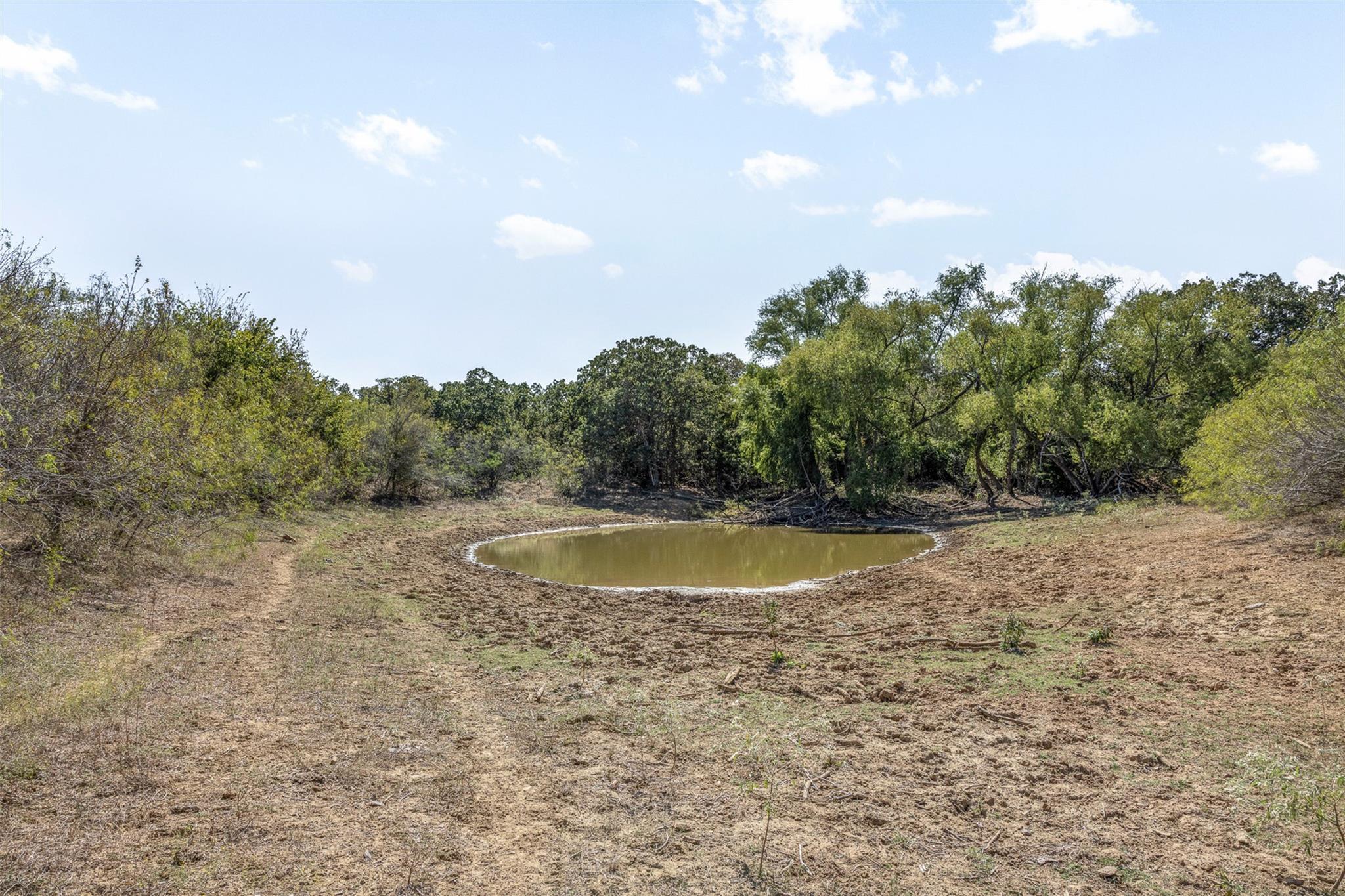 TBD Wagon RD
