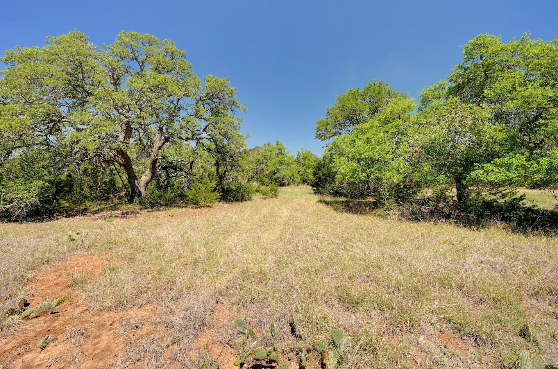 TBD Martin RD
