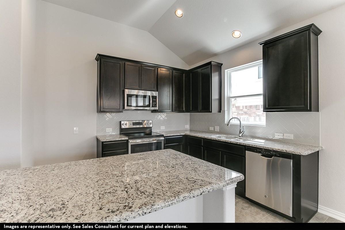 250 Tundra LN
