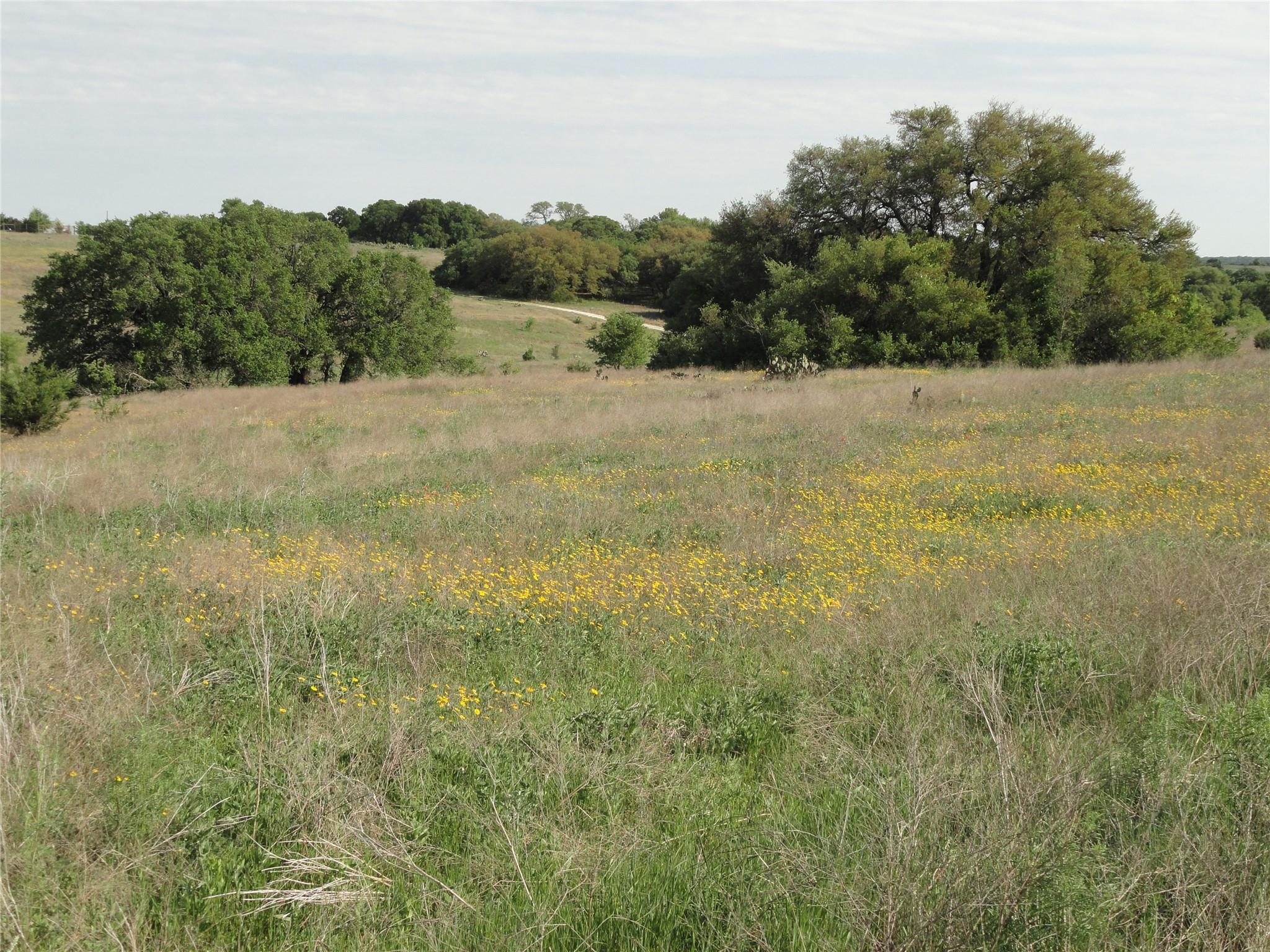 3399 County Road 267