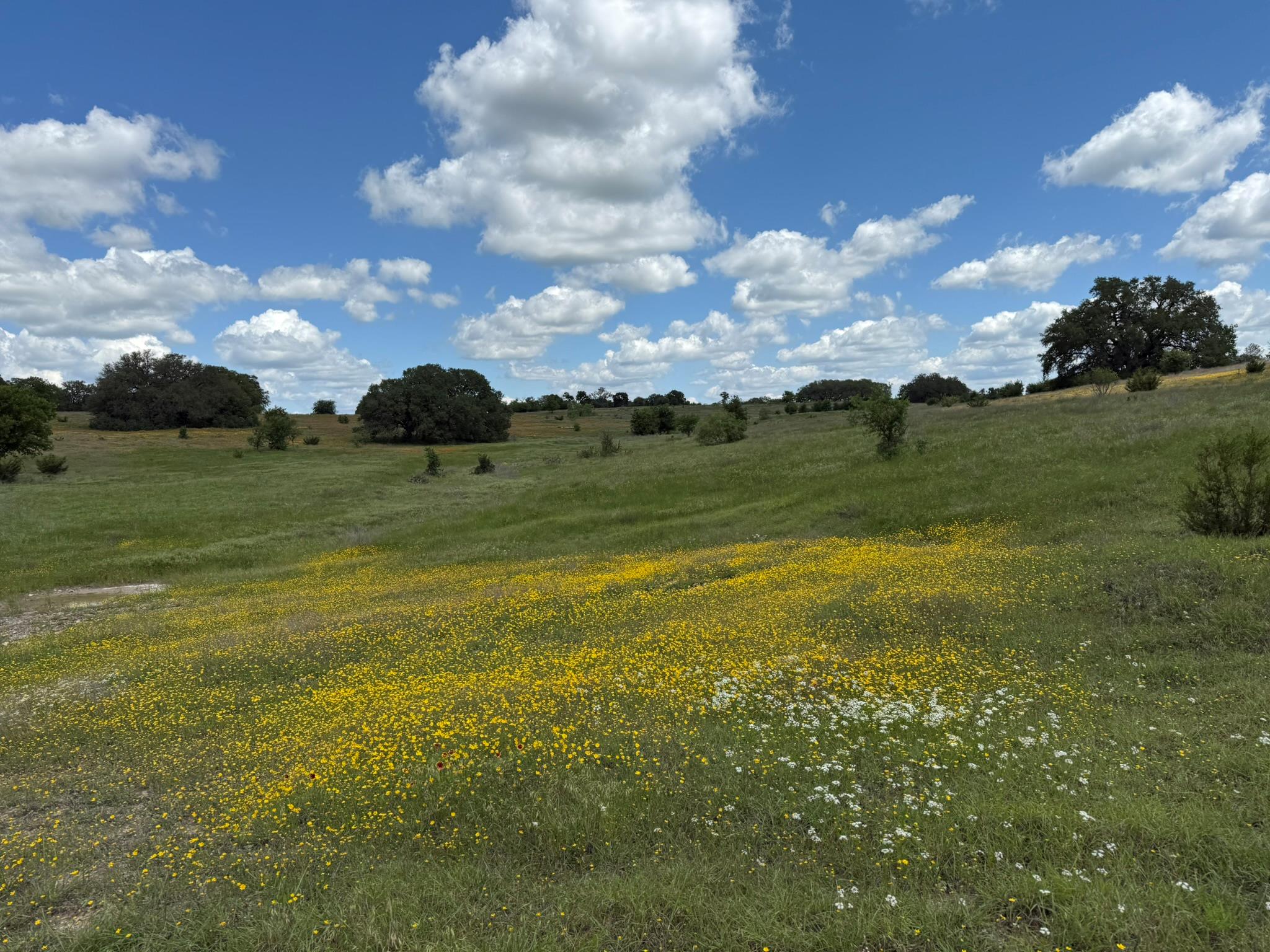 3399 County Road 267