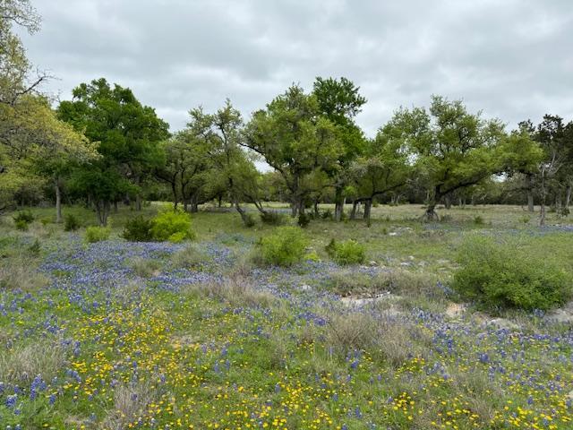 Lot 13 & 14 Twisted Oak