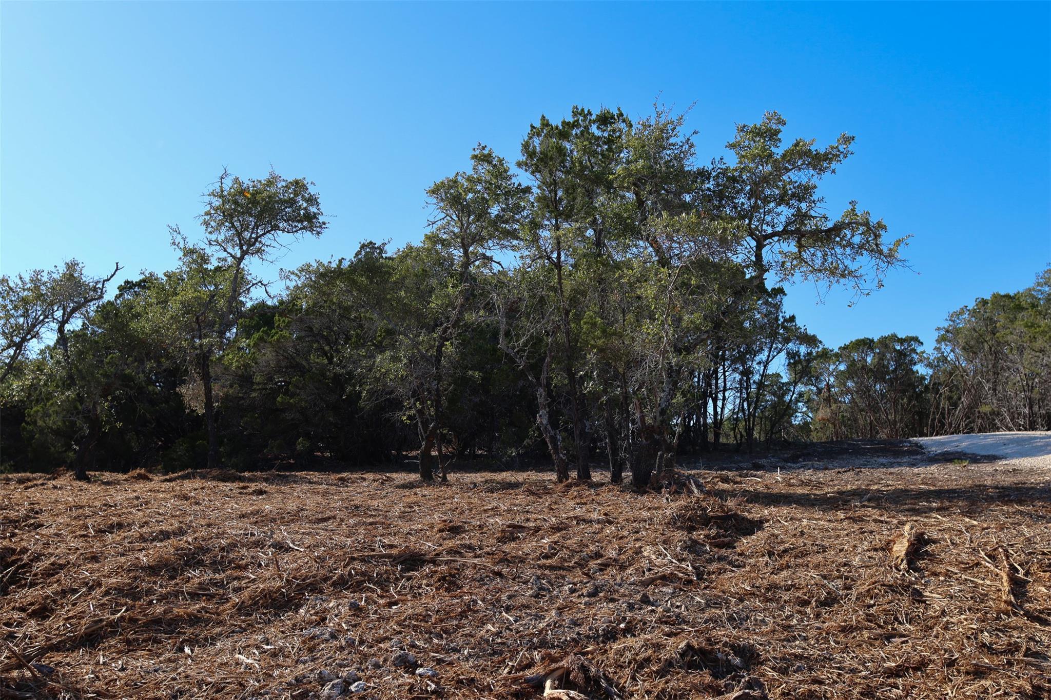 3101 - 4 Longhorn Trl TRL