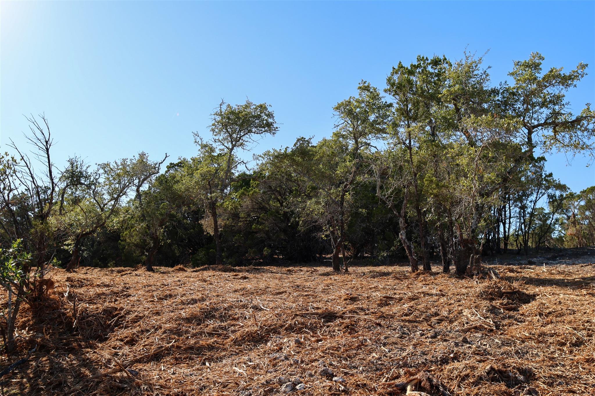 3101 - 4 Longhorn Trl TRL