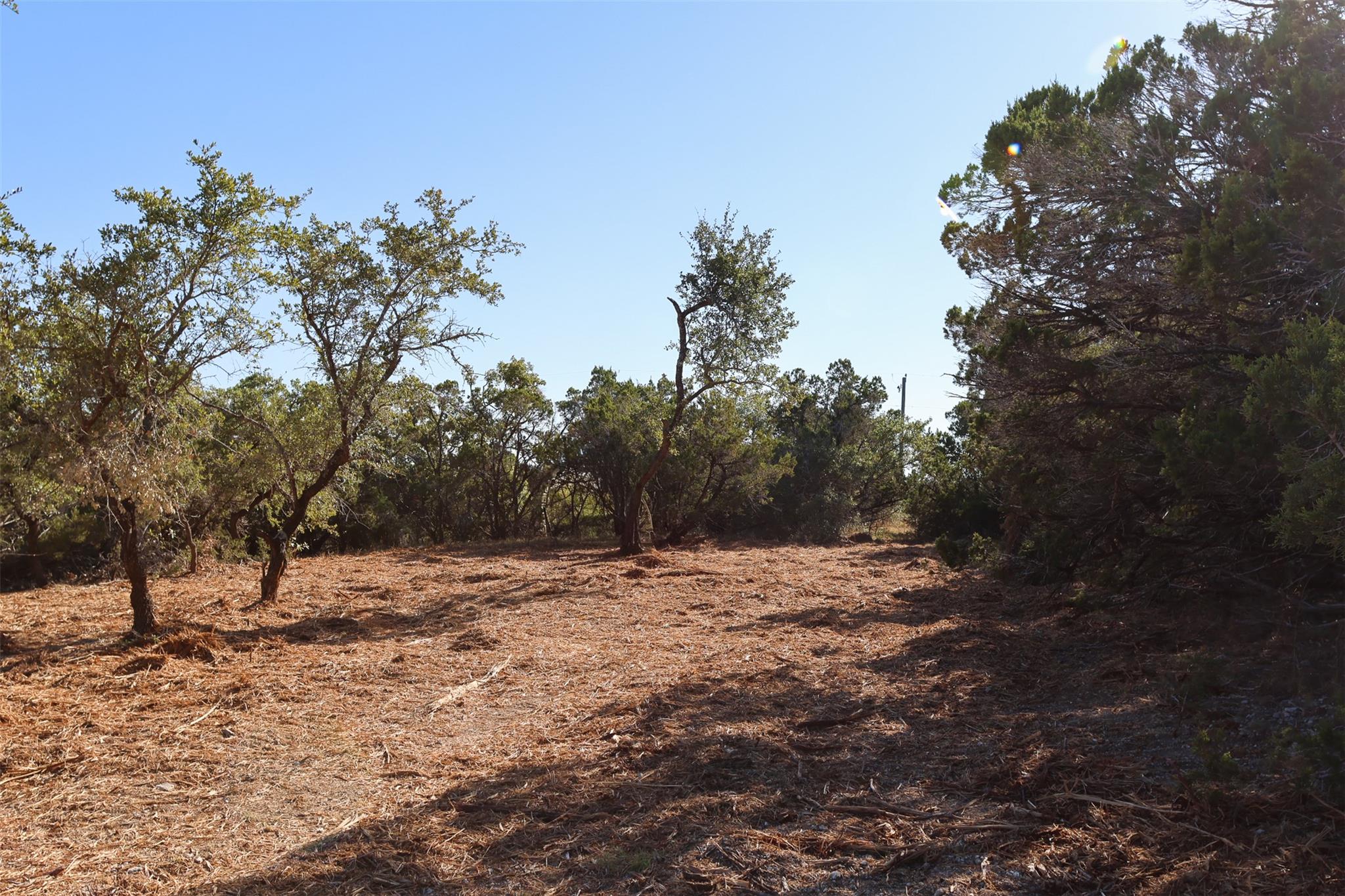 3101 - 4 Longhorn Trl TRL