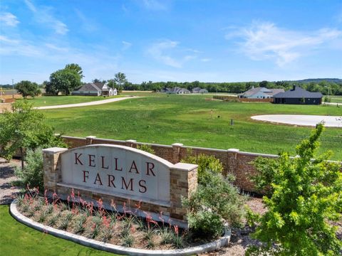 Lot 21 Hydrangea DR Smithville TX 78957