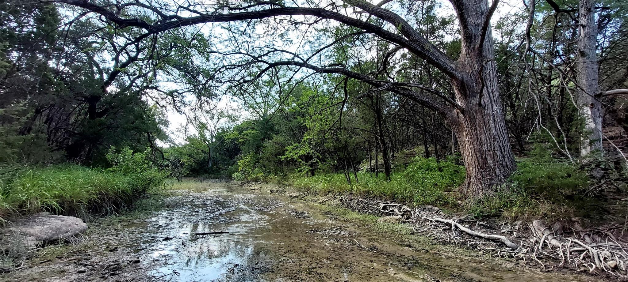 00000 Brinkley DR