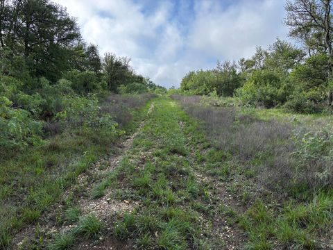 Photo of 683 County Road 467, Thrall, TX 76578 (MLS # 5719441)