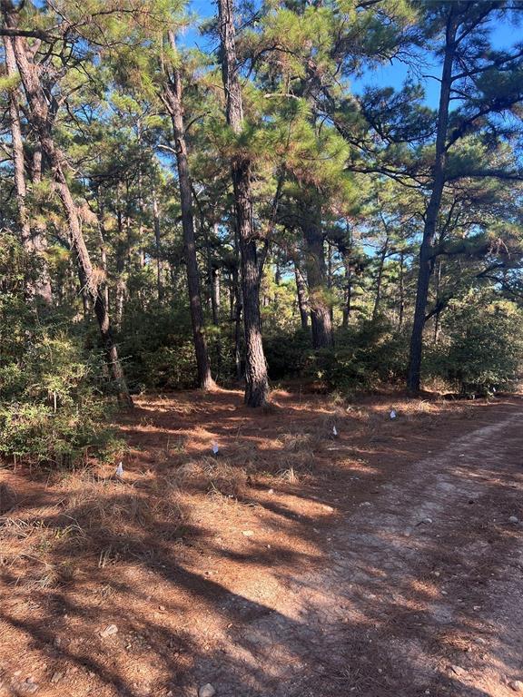 TBD Pine Lodge DR
