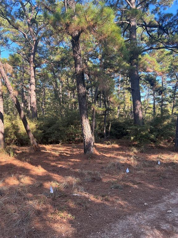 TBD Pine Lodge DR