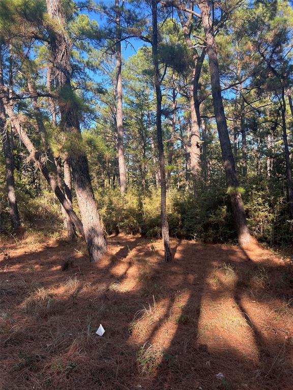 TBD Pine Lodge DR