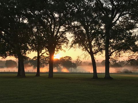 Photo of 5349 N State Highway 19, Palestine, TX 75803 (MLS # 9916028)