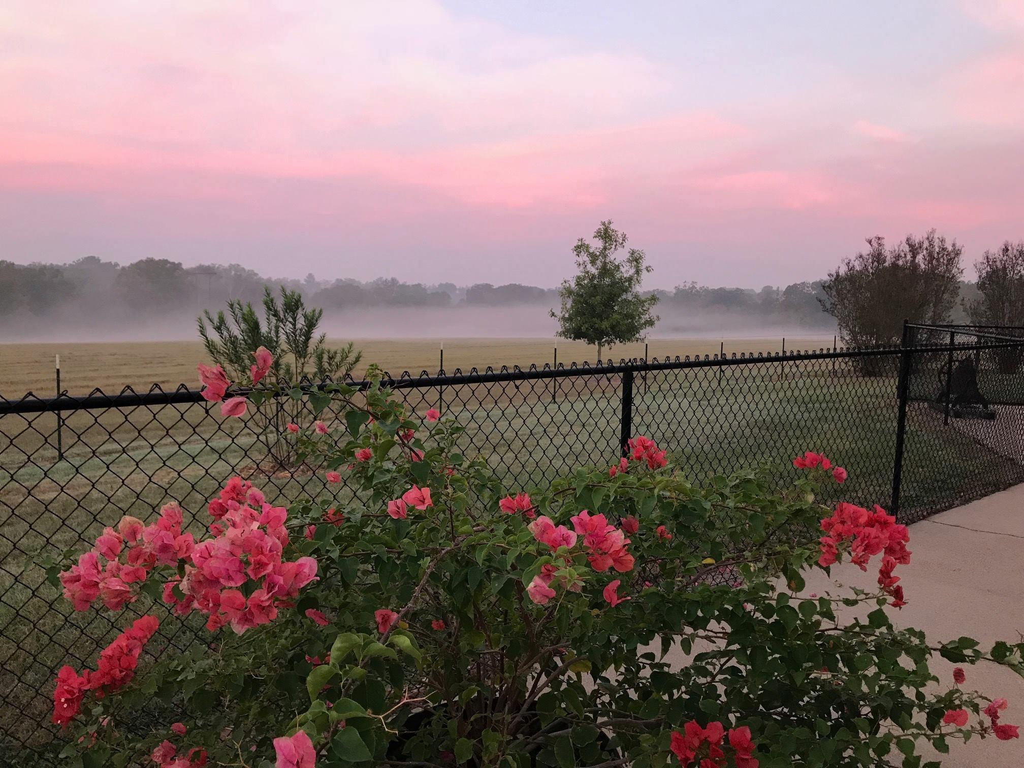 5349 N State Highway 19