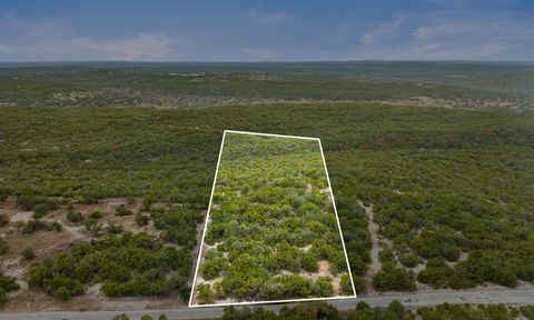 Photo of 1216 Overland Stage RD, Dripping Springs, TX 78620 (MLS # 7358324)