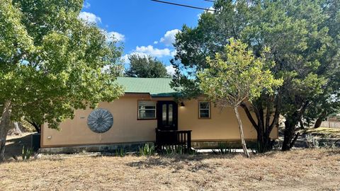 399 Scenic Terrace DR Canyon Lake TX 78133