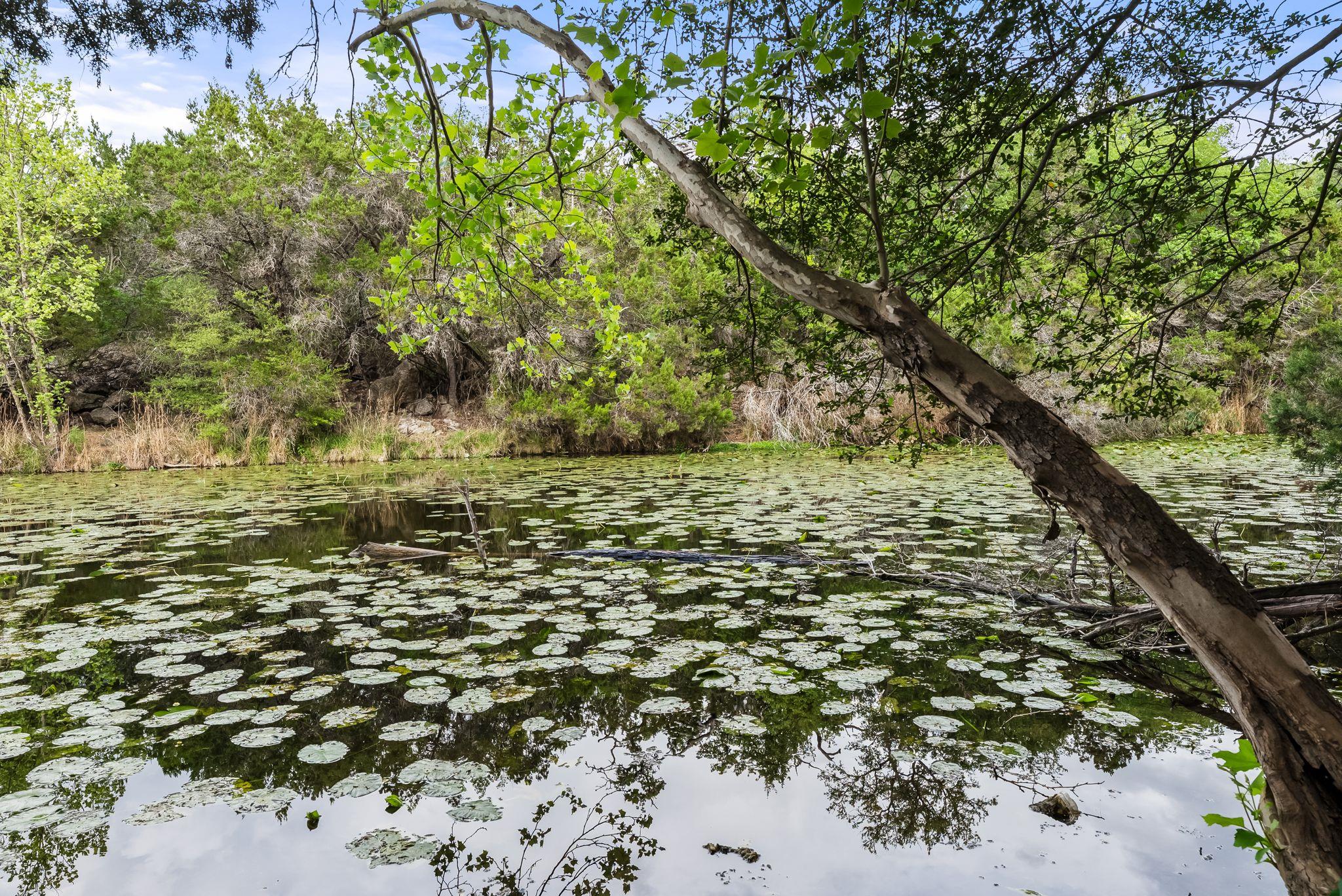 123 Top O The Lake DR