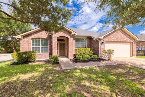 Photo of 18717 Deep Water DR, Pflugerville, TX 78660 (MLS # 7677470)
