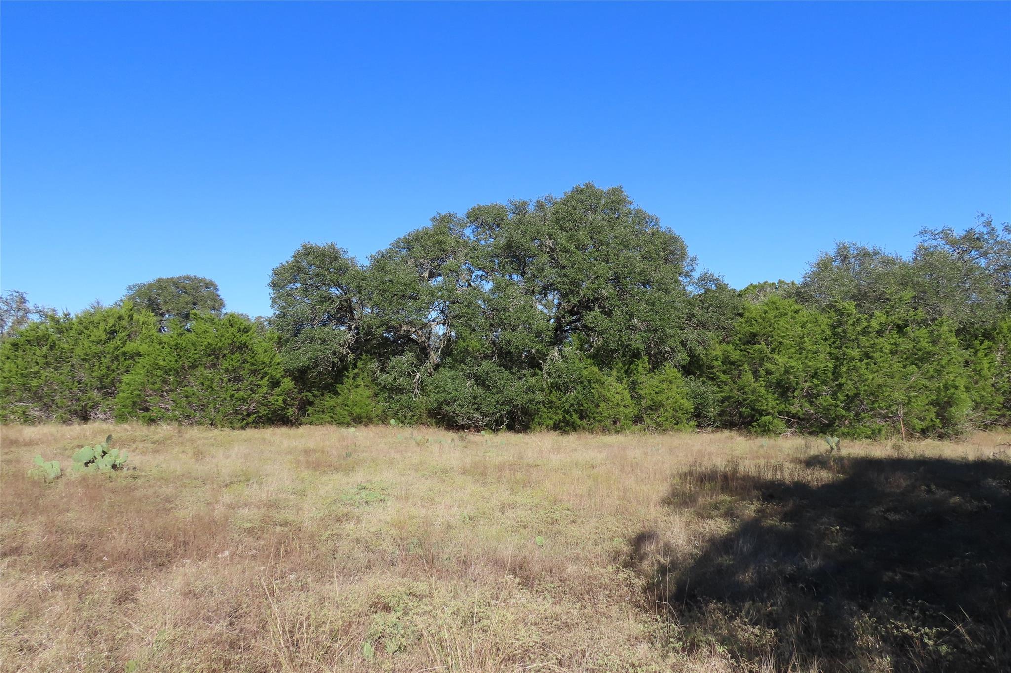 317 Little Gabriel River DR