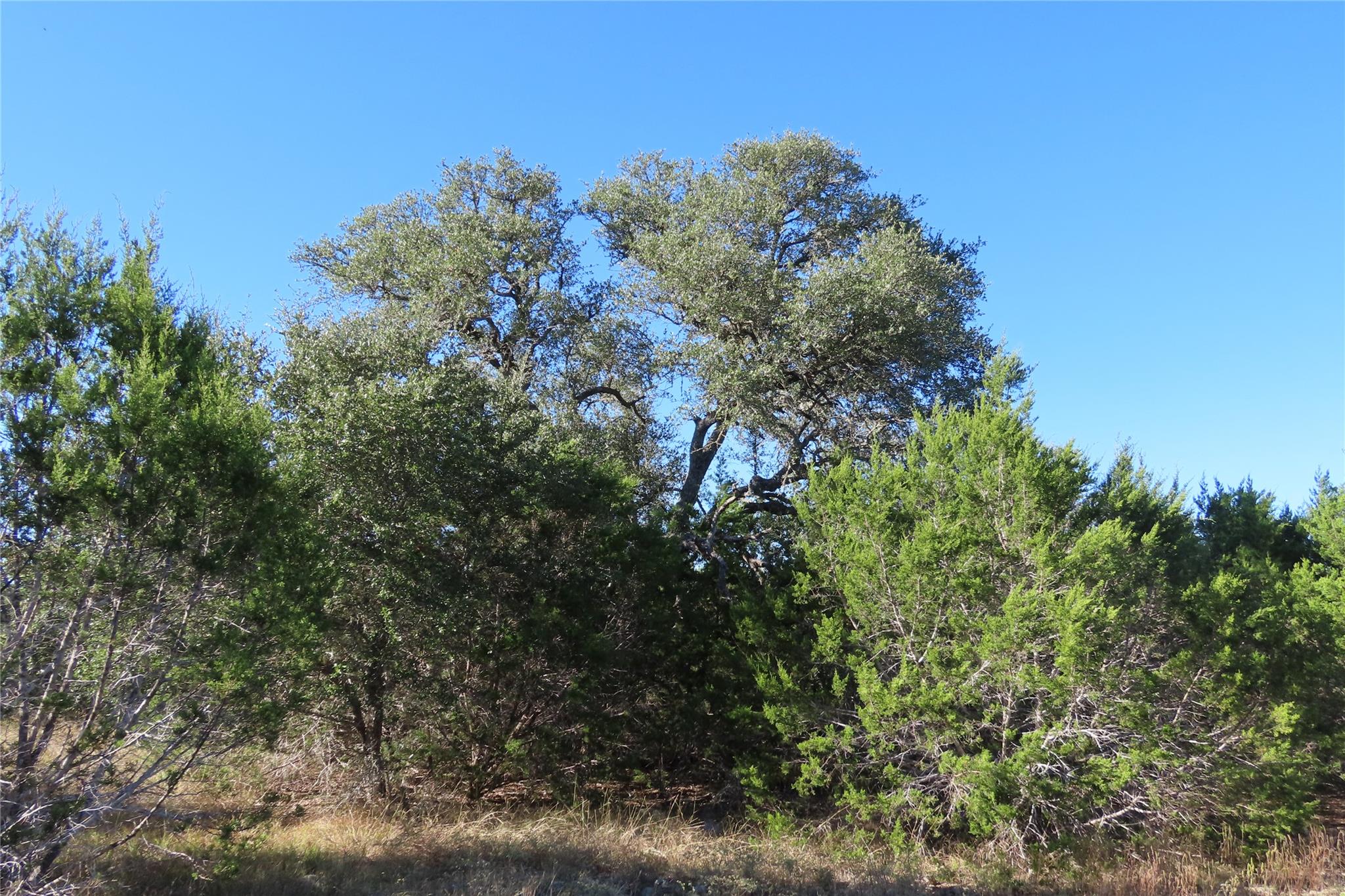 317 Little Gabriel River DR