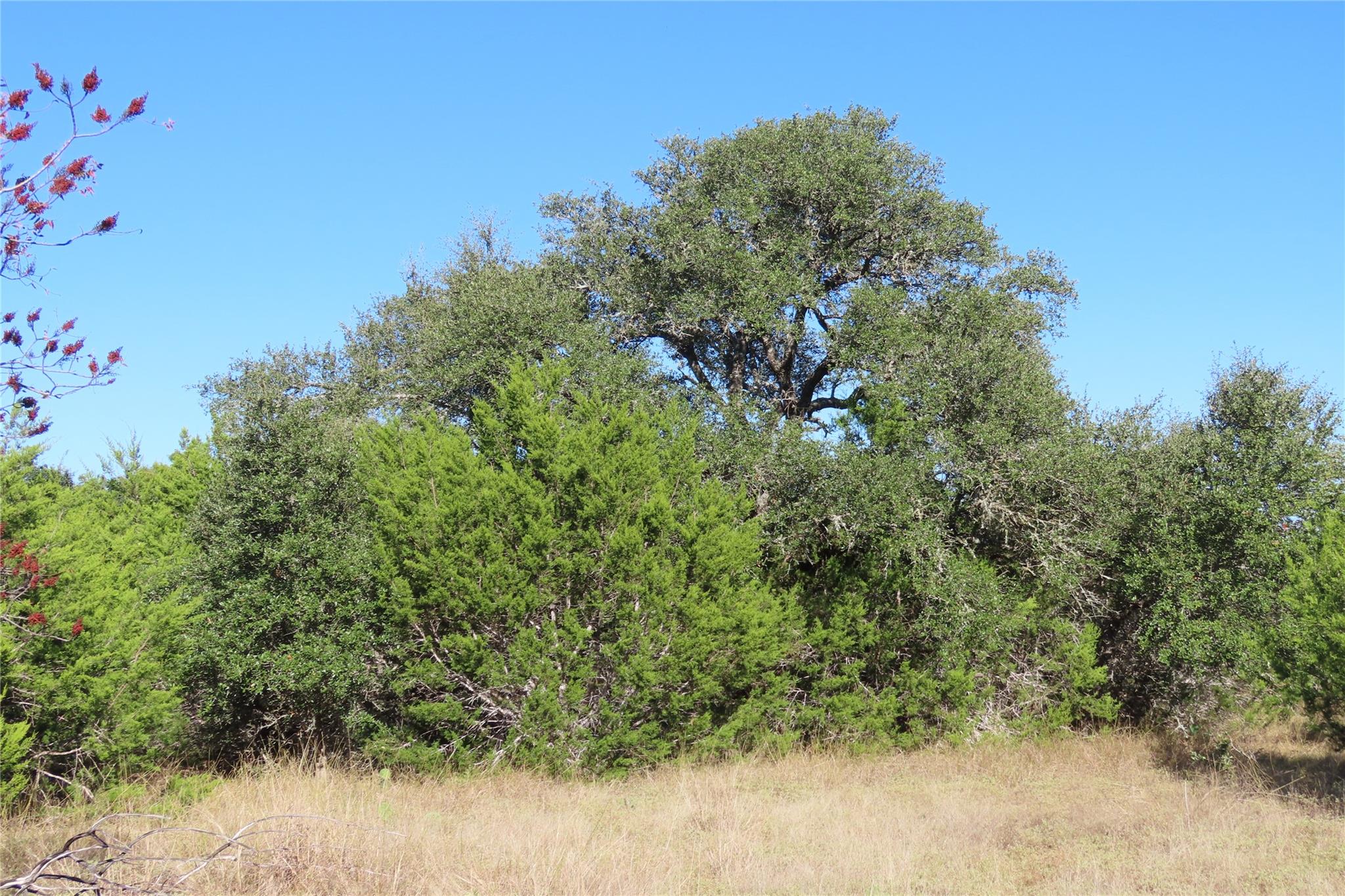 317 Little Gabriel River DR