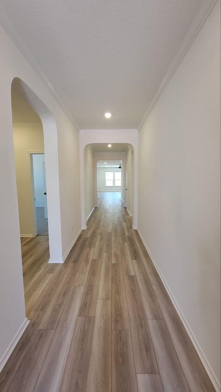 3745 Campora LN