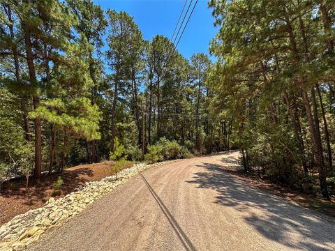 133 Wainee DR Bastrop TX 78602