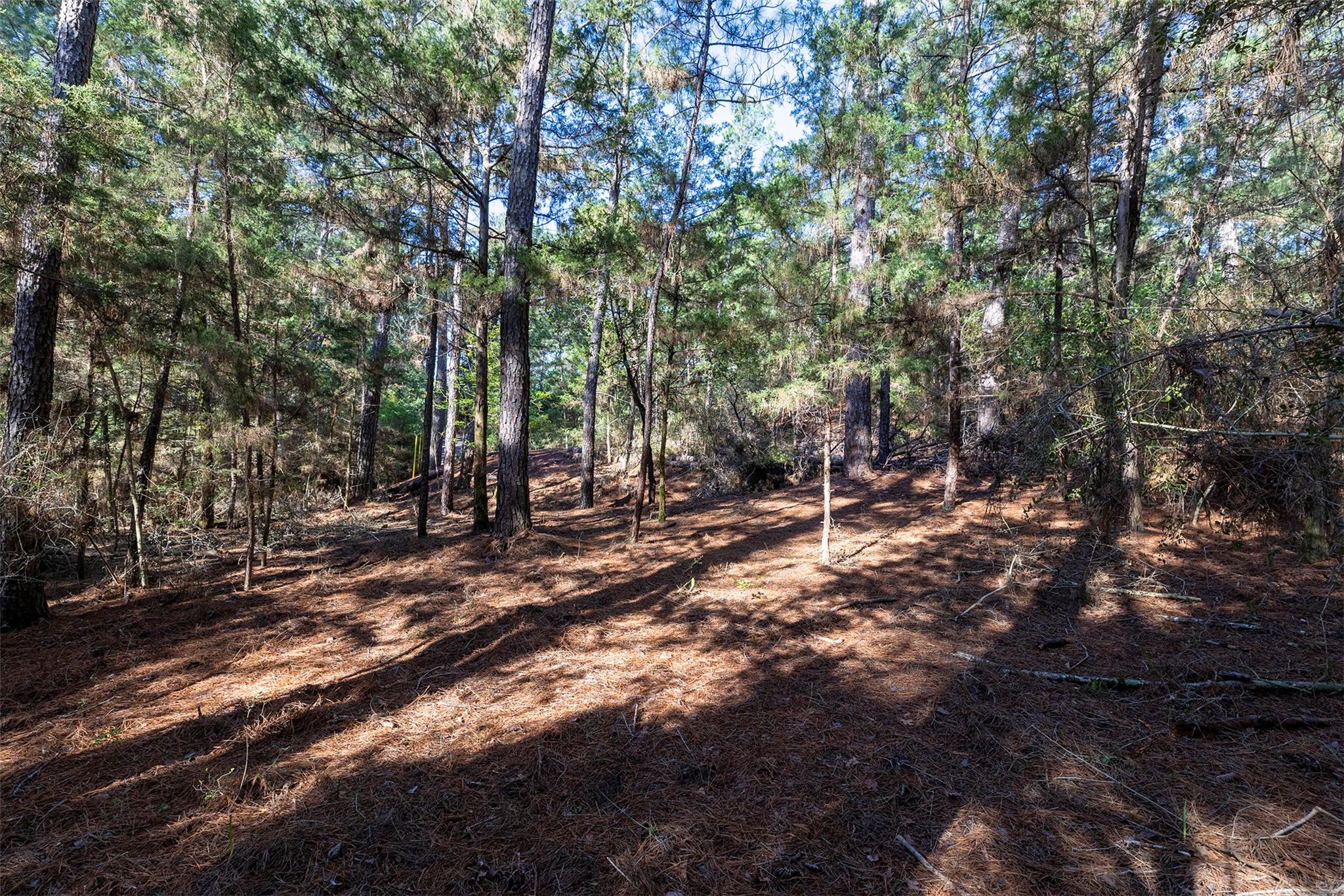 133 Wainee DR