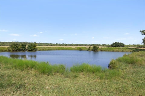 Photo of TBD FM 1176 S, Santa Anna, TX 76878 (MLS # 6742229)