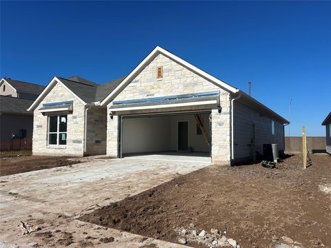 Tiny photo for 9800 Serene Bliss LN, Buda, TX 78610 (MLS # 7540405)