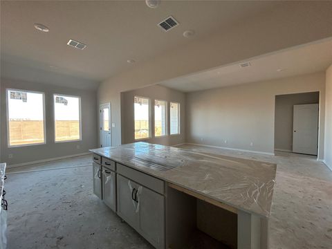 Tiny photo for 9800 Serene Bliss LN, Buda, TX 78610 (MLS # 7540405)