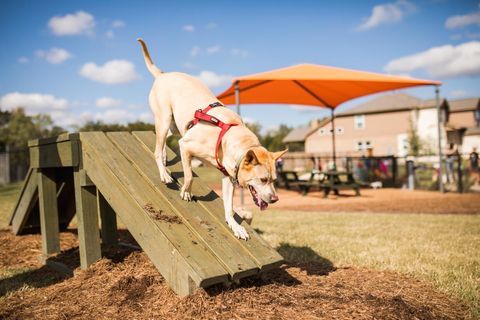 506 Cates CT Liberty Hill TX 78642