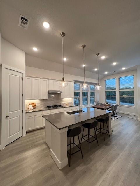 22509 Agave Grove DR
