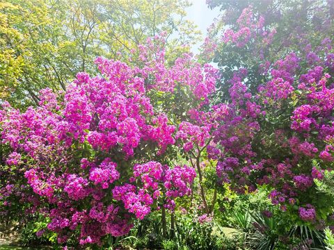 Tiny photo for 3618 Quiette DR, Austin, TX 78754 (MLS # 9318012)