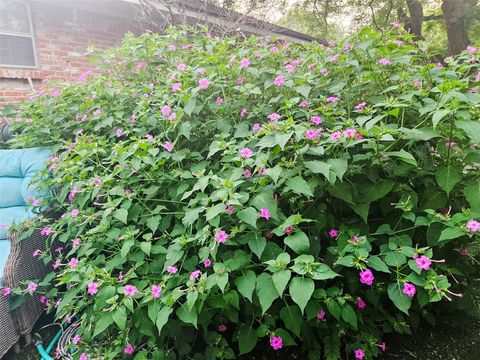 Tiny photo for 3618 Quiette DR, Austin, TX 78754 (MLS # 9318012)