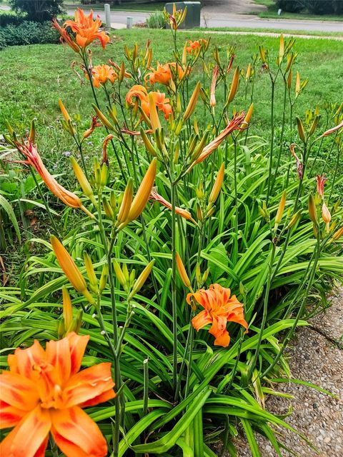 Tiny photo for 3618 Quiette DR, Austin, TX 78754 (MLS # 9318012)