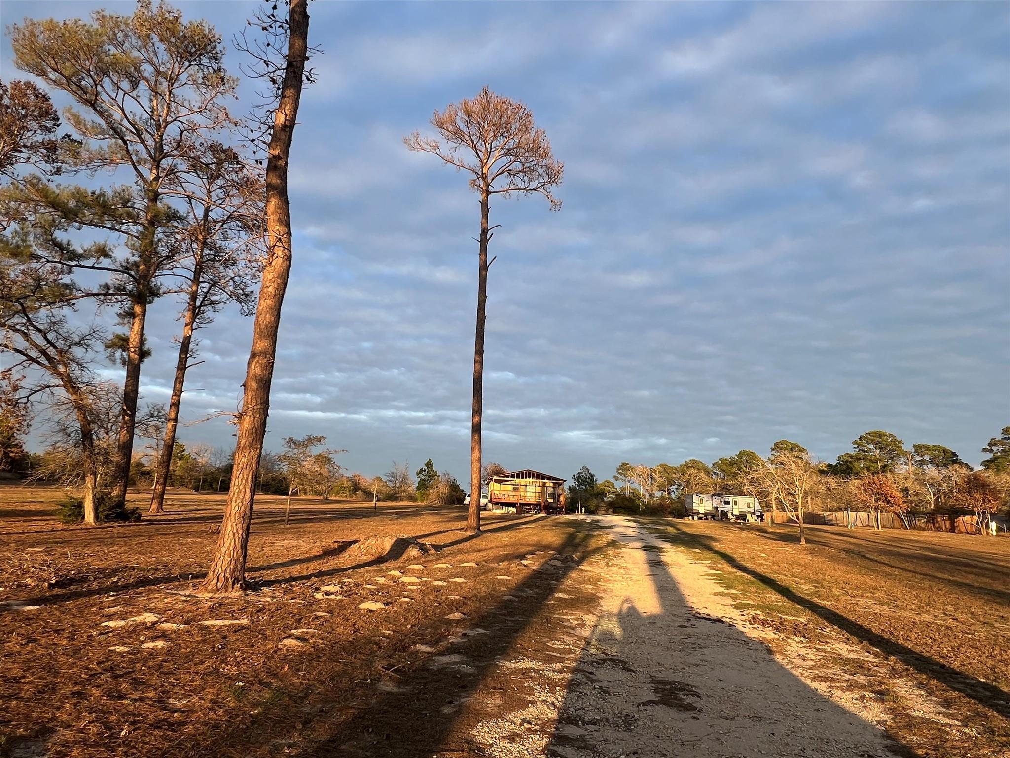 562 Pine Tree LOOP B