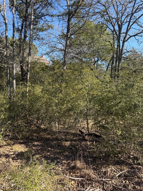 Lot 110 Wailupe CIR Bastrop TX 78602