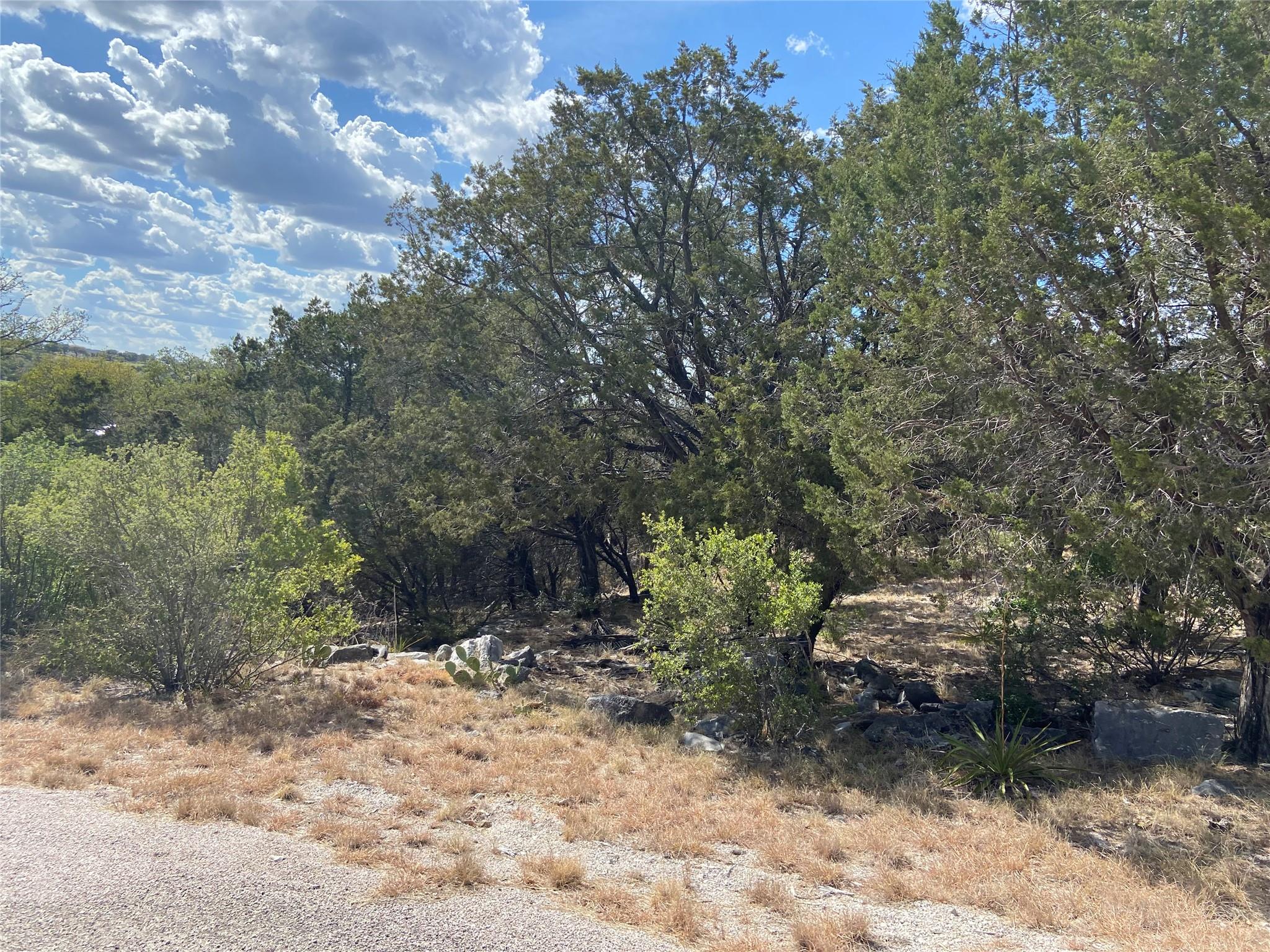 Lot 22173 Wind Swept