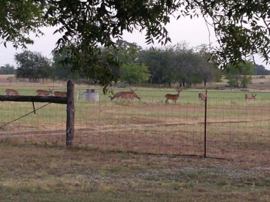 10905 S FM-1915, DAVILLA, TX 76523 - Image e1f0b98f7ac3d622ee8a6a754b52e16b/2963297970