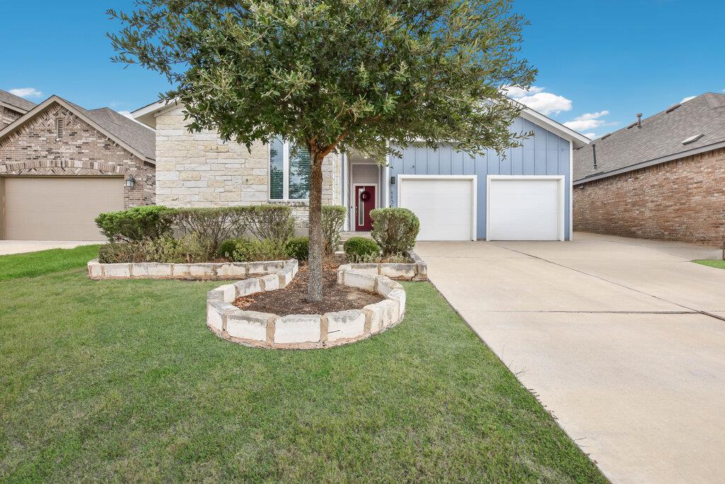 11321 American Mustang LOOP
