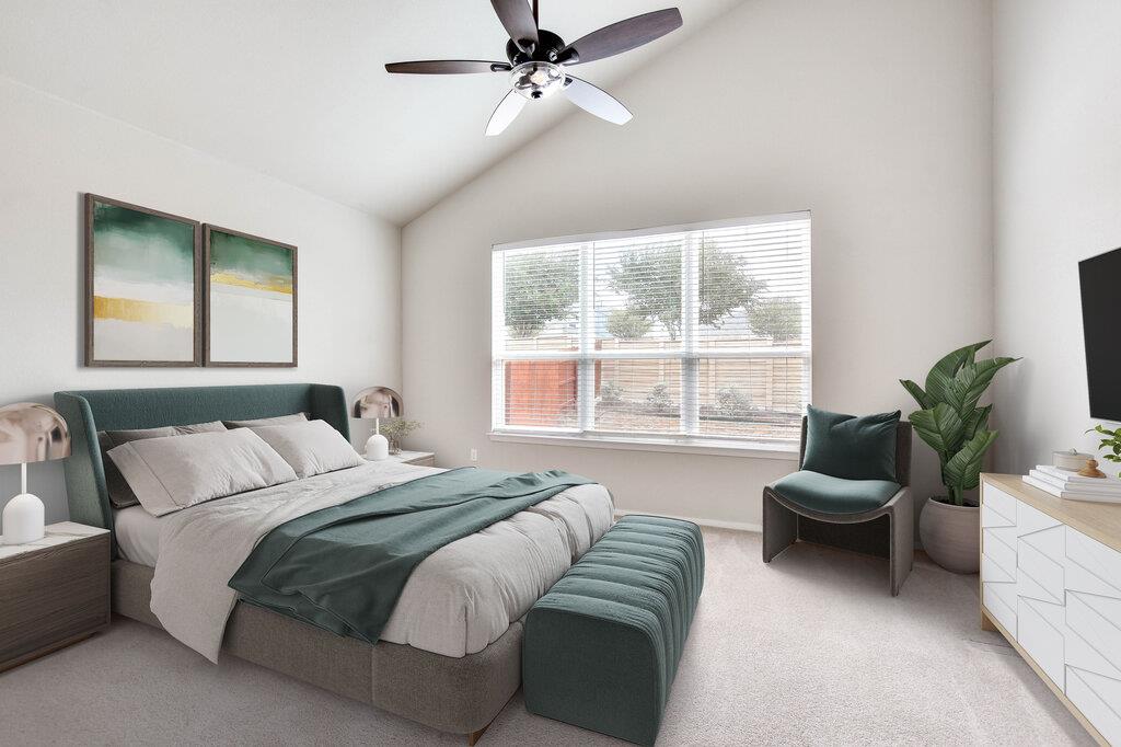 11321 American Mustang LOOP