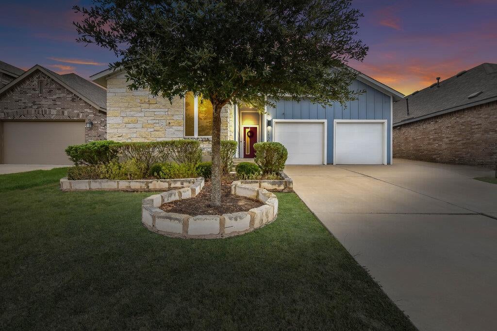 11321 American Mustang LOOP