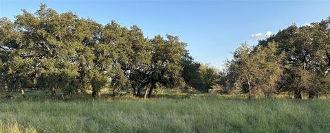 TBD Safe Harbor DR Brownwood TX 76801