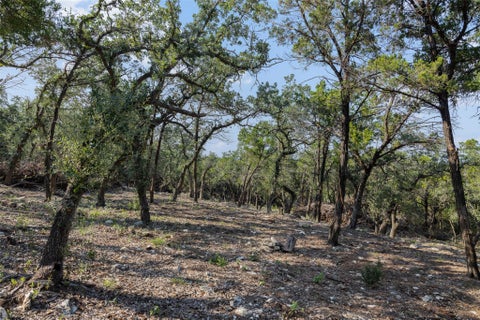 Photo of 601 Mount Olive School RD, Wimberley, TX 78676 (MLS # 7861781)