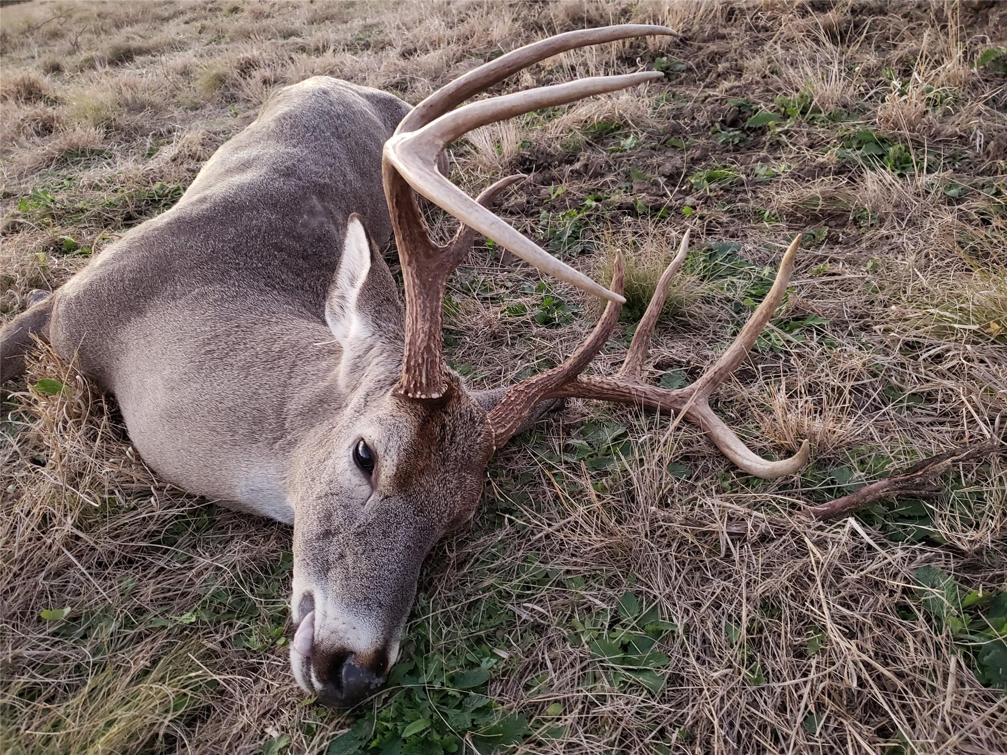TBD Ranch Road 2631