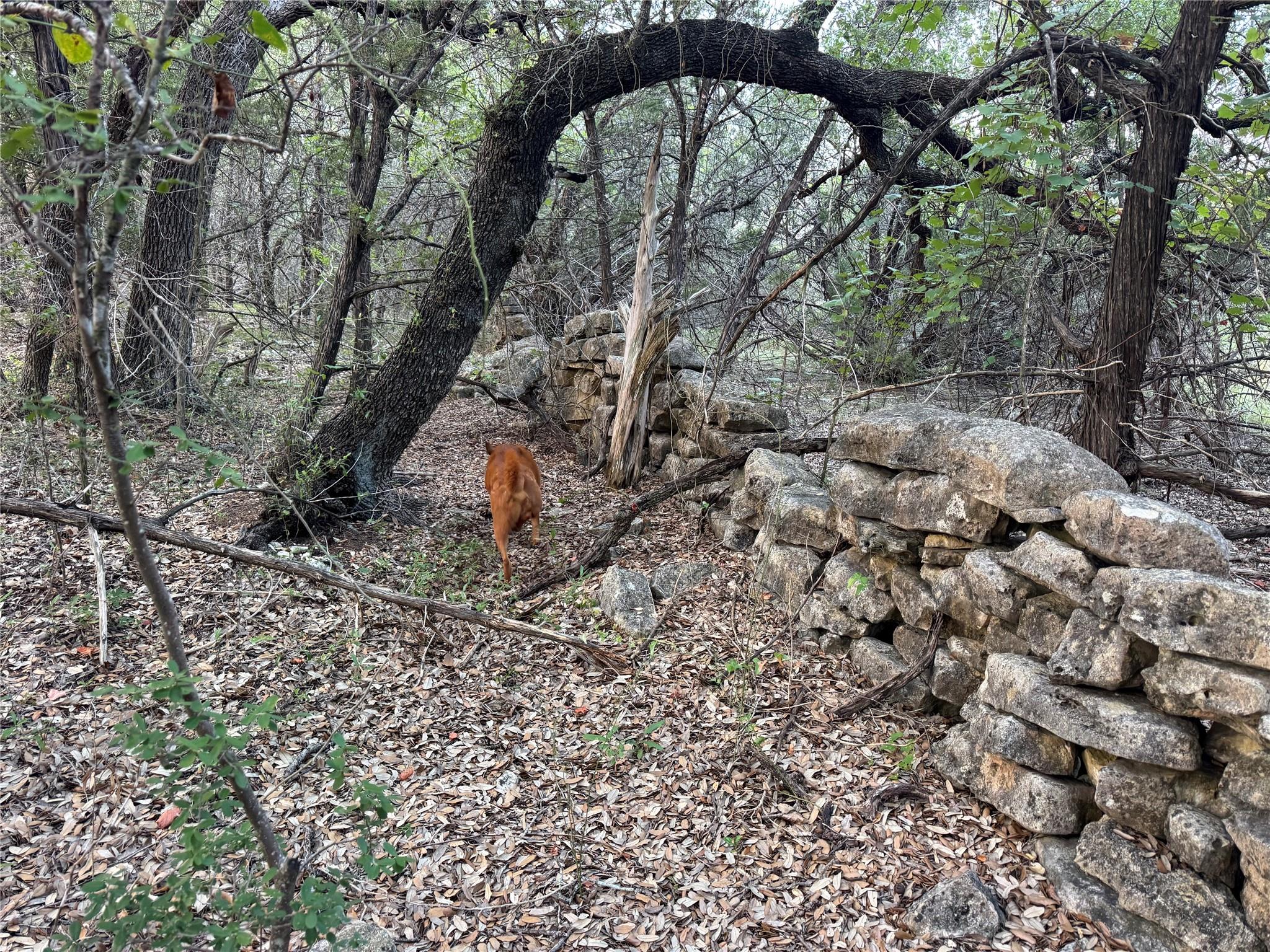 0000 Round Mountain RD