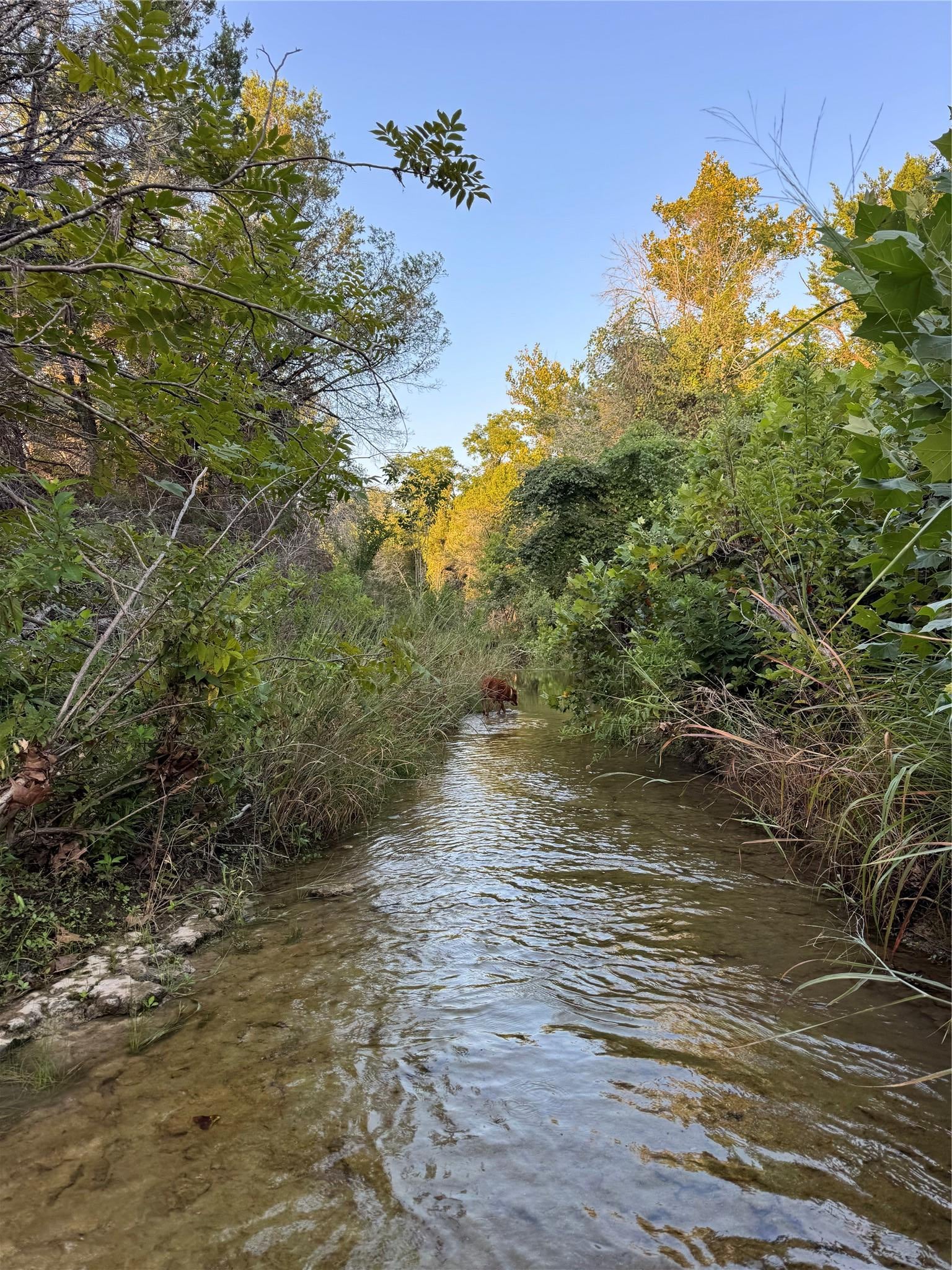 0000 Round Mountain RD